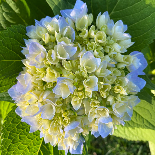 Spring Is on the Horizon