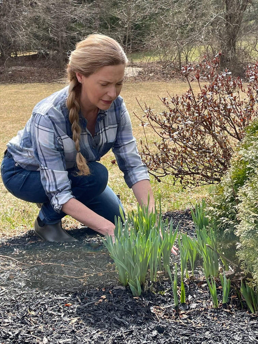 Ready, Set, Grow – A Step by Step Guide to Starting a Spring Garden