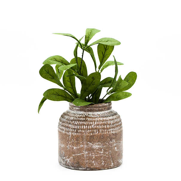 Distressed Terracotta Pot - Batstone Home