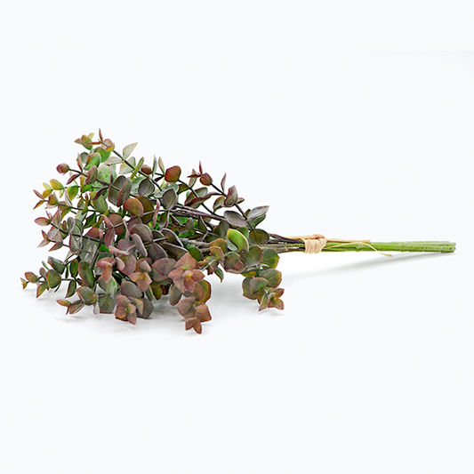 Eucalyptus Stem Bundle - Batstone Home