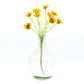 Bubble glass vase - Batstone Home